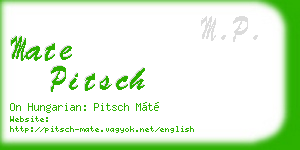 mate pitsch business card